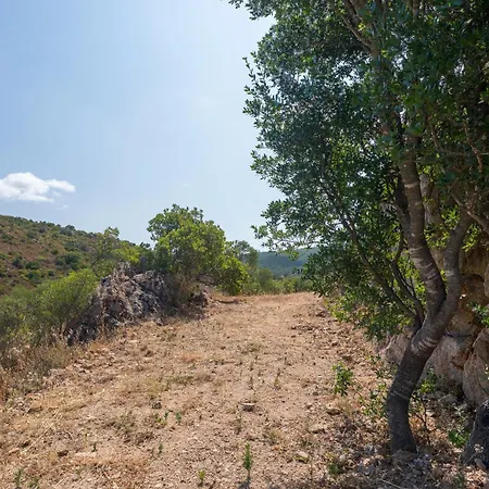 Casa Maya * Ольбия